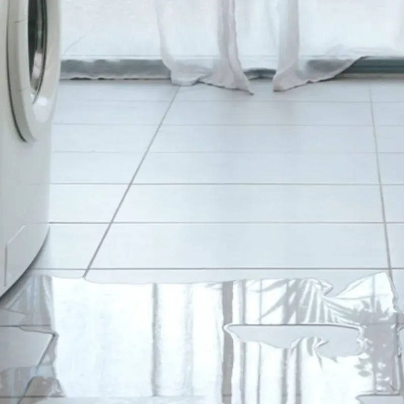 Appliance Leak Cleanup in Camden County, NC