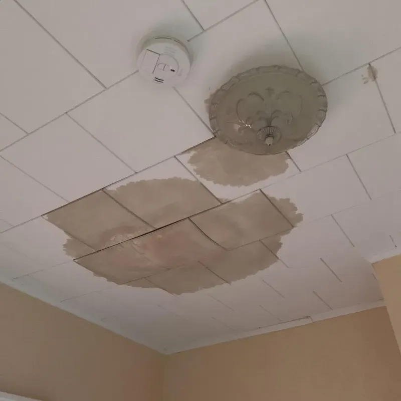 Ceiling Water Damage Repair in Camden County, NC