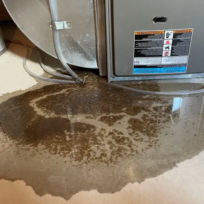 Pipe Burst and Leak Restoration in Camden County, NC
