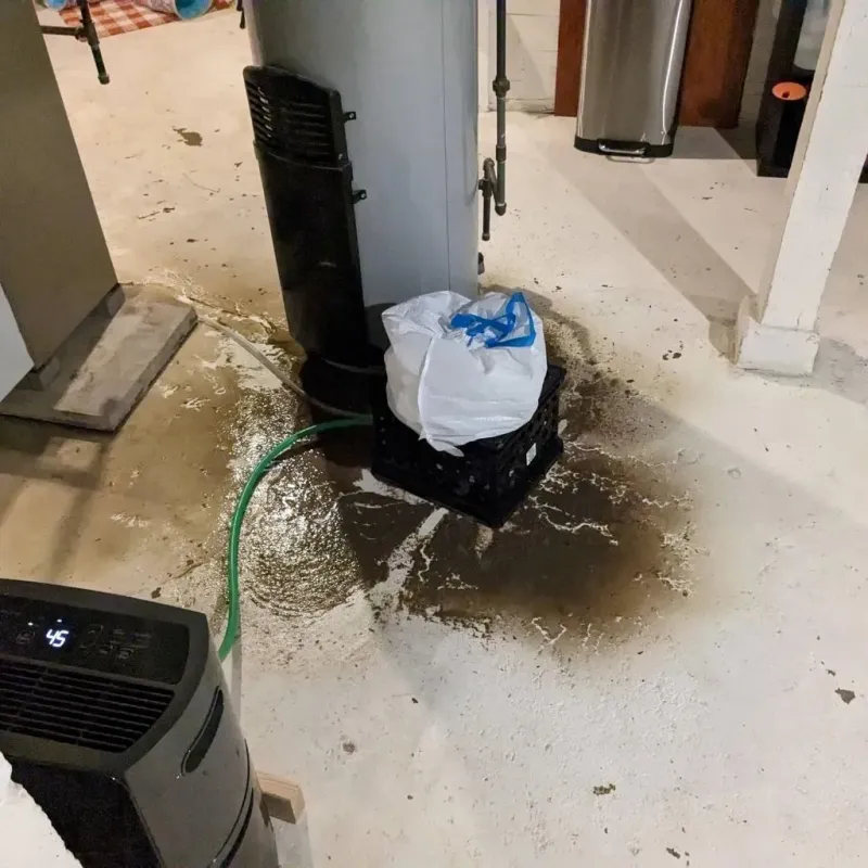 Sewage Backup Cleanup Service in Camden County, NC